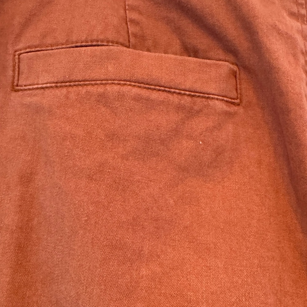 Peruvian Connection Rust Trousers - image 5